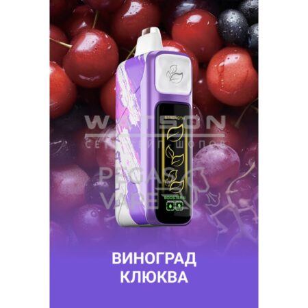 Электронная сигарета Elf Bar Booster Nic King 30000 (Виноград клюква)